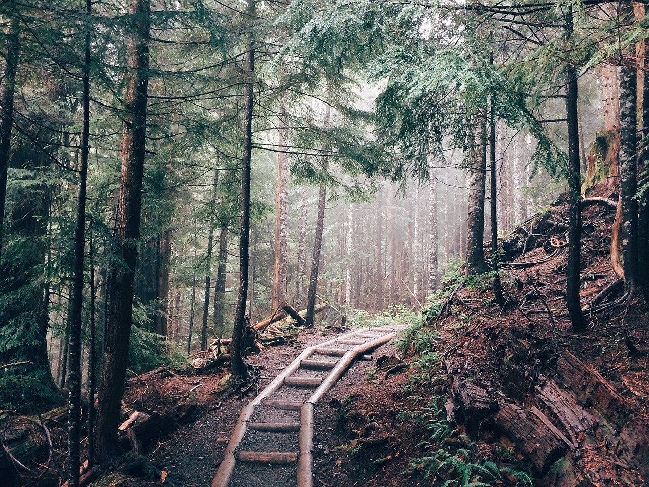 The Best Hiking Trails in the Catskills